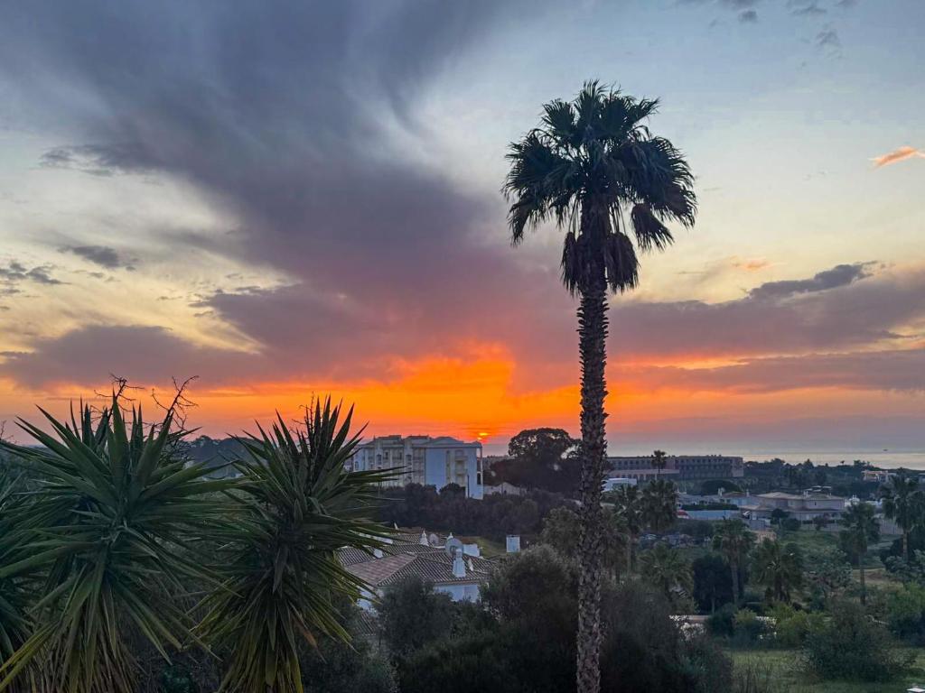 Sunrise Sea View Apartment Walk to Meia Praia