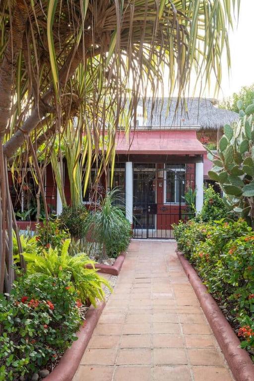 a building with a walkway in a garden with plants at Hidden Gem! Charming 2 Bedroom Vacation Home! in Puerto Escondido