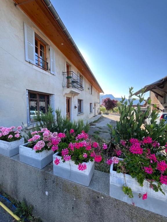 a group of flowers in white containers outside of a building at La Cocotte Rousse, ses Petits Déjeuners et sa Table in Parves