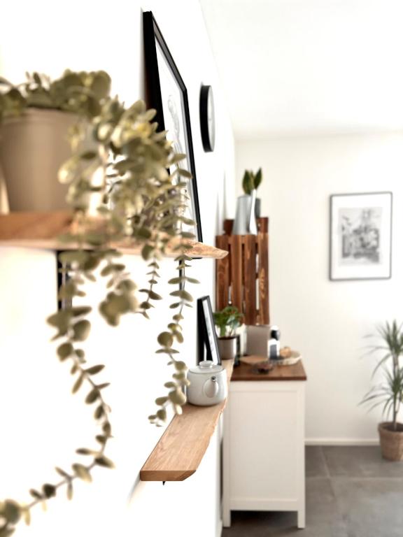 a living room with a plant on a counter at COZEE - Central Apartment with Netflix in Kaiserslautern