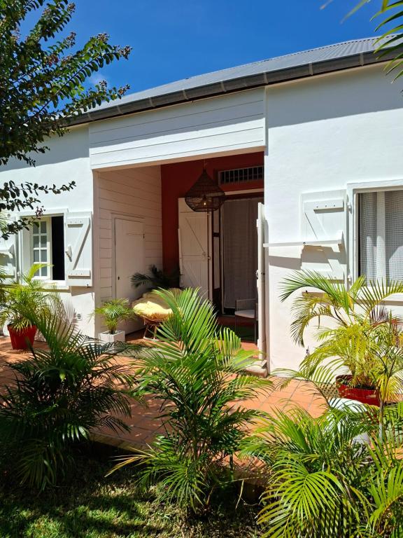 a white house with plants in front of it at Ô Privilège studio jacuzzi clim en centre-ville de Saint-Pierre in Saint-Pierre