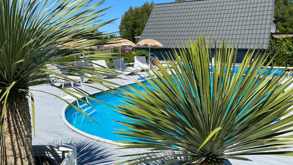 an overhead view of a swimming pool with palm trees at Maciejka in Rusinowo
