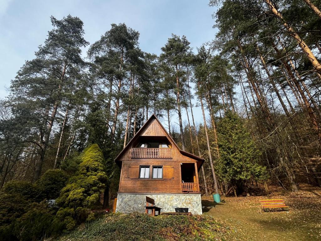 a small house in the middle of a forest at Chata za dubem in Všelibice