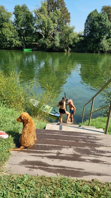 two people and a dog sitting on steps near a lake at NOBLEJA - BIG BERRY - Kolpa - Metlika in Gradac