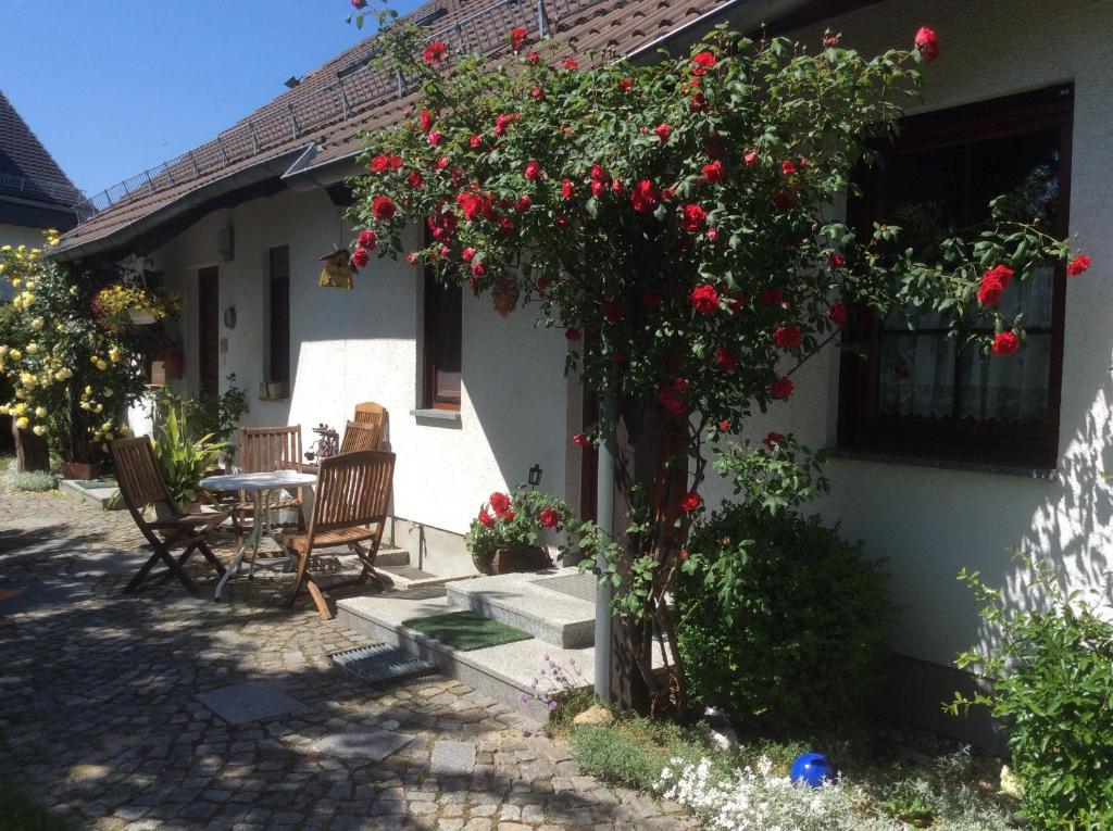 una pequeña casa con una mesa y rosas rojas en Ferienwohnung Sonne-Stadtrand Dresden, en Moritzburg