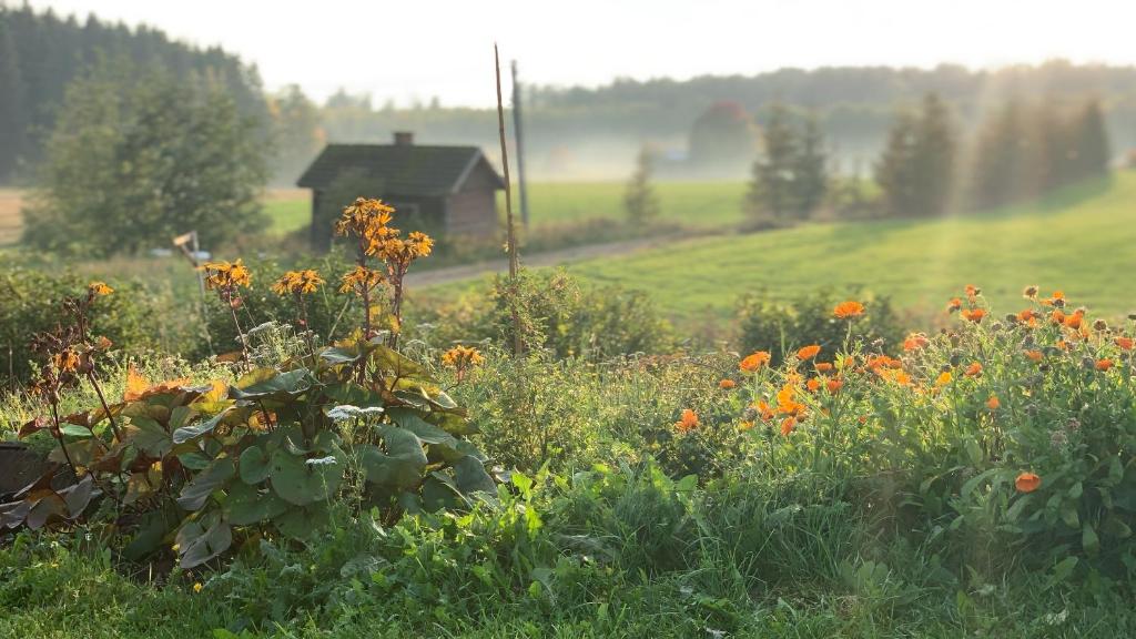 a field of flowers with a house in the background at Glamping Ponsa in Tohkala