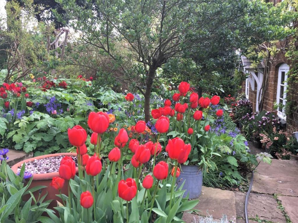 a garden with red tulips and other flowers at 2 Bed in Chipping Norton oc-73904 in Swerford