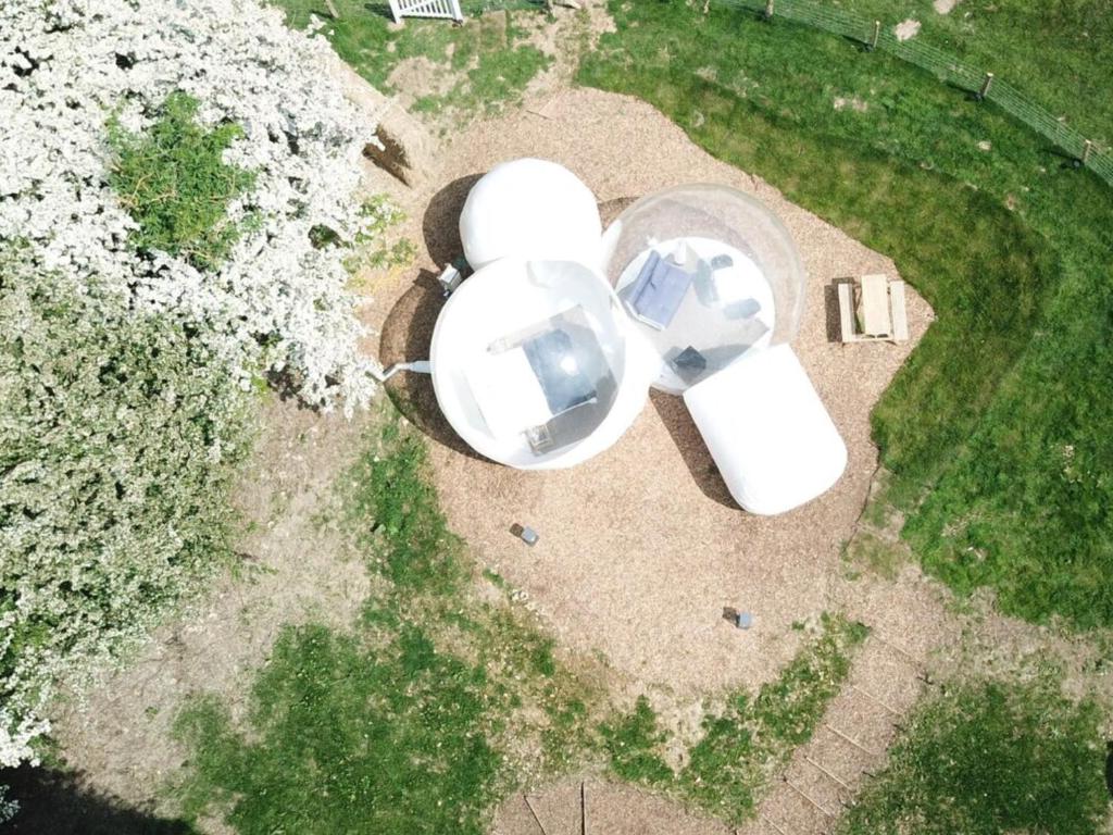 an overhead view of two white sculptures in a park at Wooded Bubble in Kent