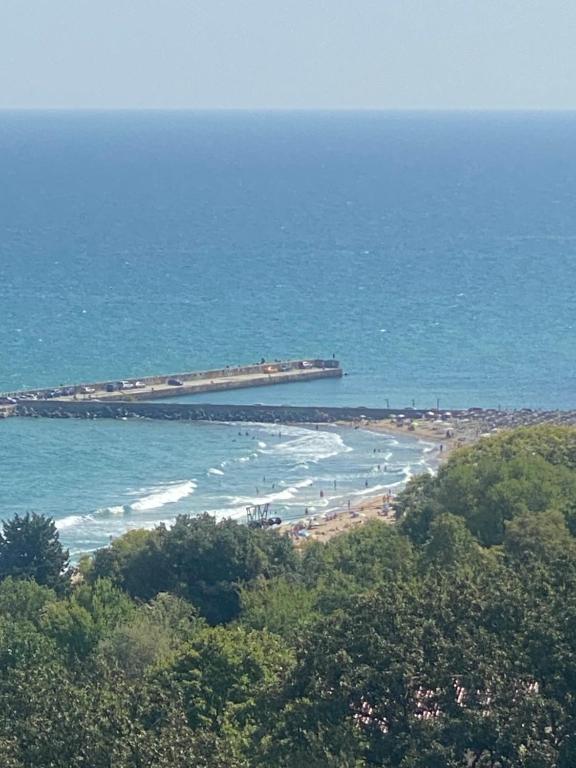 a view of a beach with a pier in the water at Only Adults- RAI in Golden Sands
