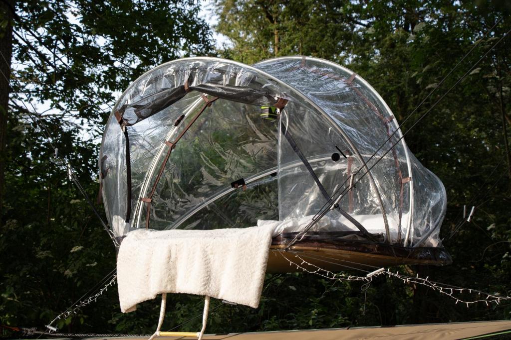 a clear dome on a stand in front of trees at Tiny bubble Tree Tent in private woodland in Kent