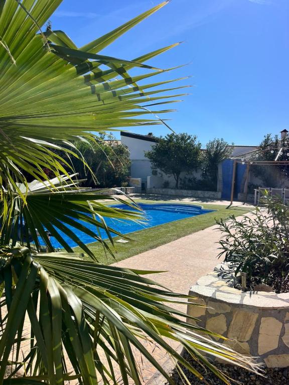 a palm tree in front of a swimming pool at La Casa Arboleas in Arboleas