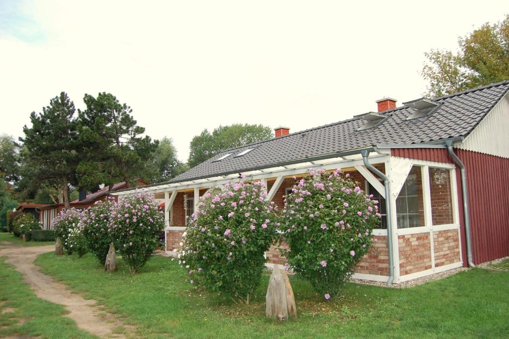 a house with a bunch of flowers in front of it at Hus an de Küst 02 in Ahrenshoop