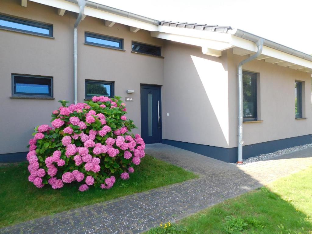 a bush of pink flowers in front of a building at Sanddornhus in Ahrenshoop
