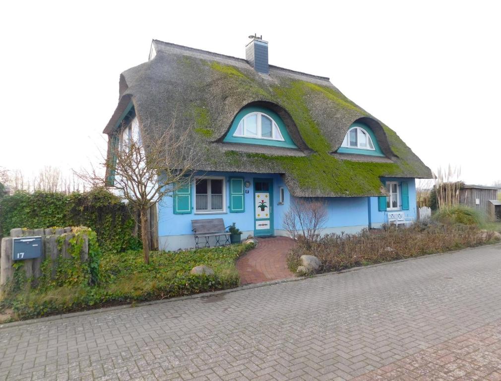 a blue house with a thatched roof on a street at Haus Arrewind in Ahrenshoop