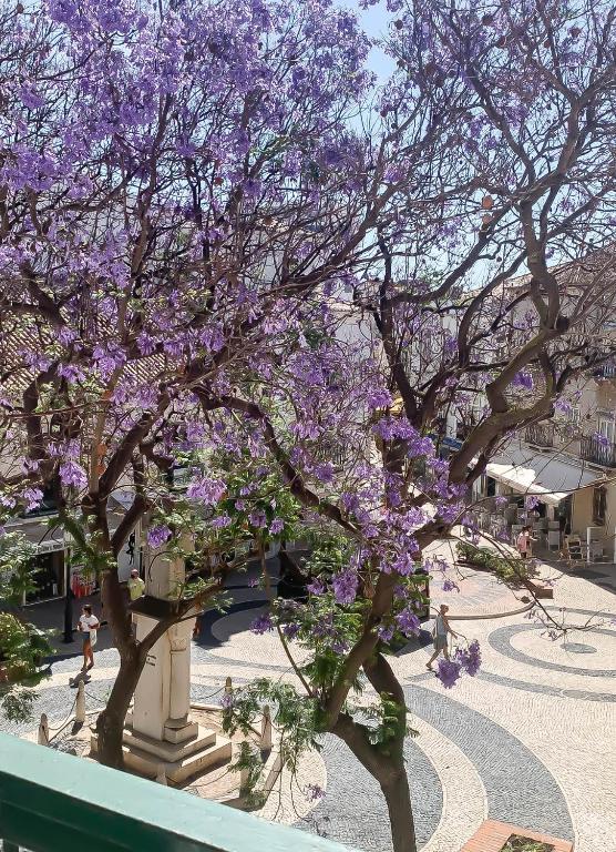 Ein Baum mit lila Blüten in einem Innenhof in der Unterkunft TRACES Lagos in Lagos