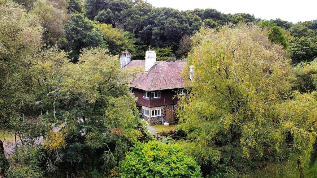 an old house in the middle of a forest at Secluded Seven Room House in Okehampton
