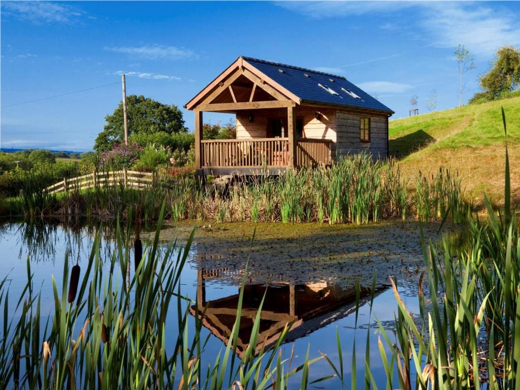 a cabin on a hill next to a pond at 1 Bed in Llangammarch Wells oc-bn216 in Garth