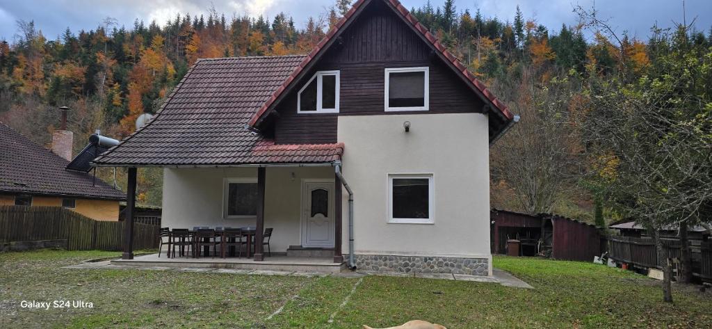 a small white house with a black roof at Vila Two in Cârțișoara