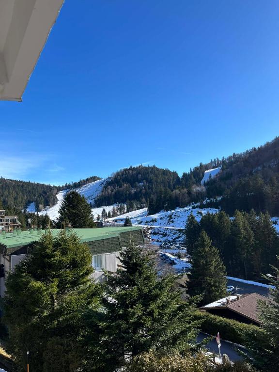 arial view of a ski resort with trees and snow at L'ourson B2 in La Bresse
