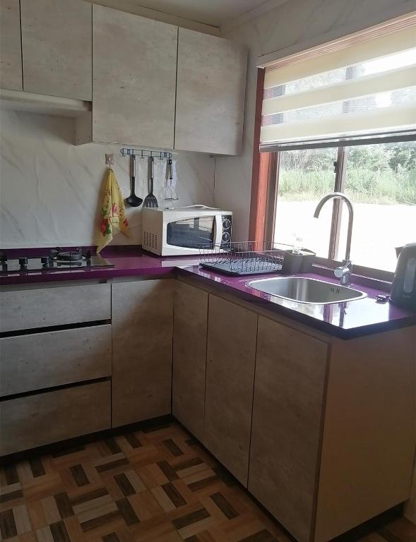 a kitchen with a microwave oven and a sink at Cabañas Montina Hualqui piscina y tinaja in Concepción