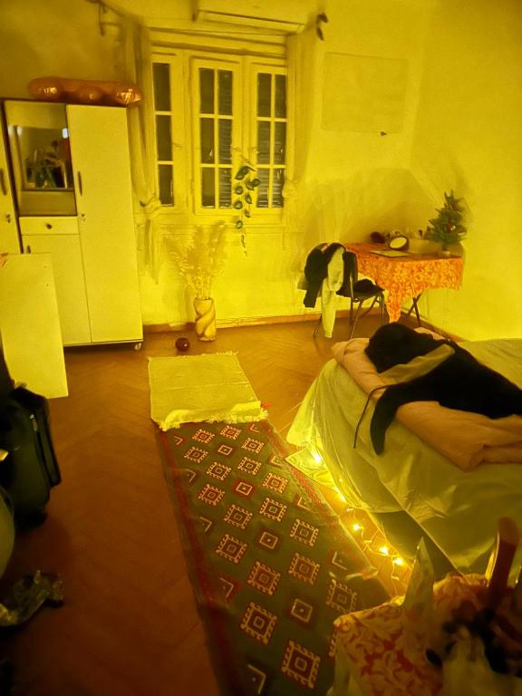 a dog is sitting on a bed in a room at Baraka in Cairo