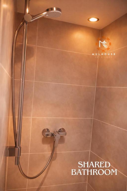 Mulhouse City Loft – photo 13