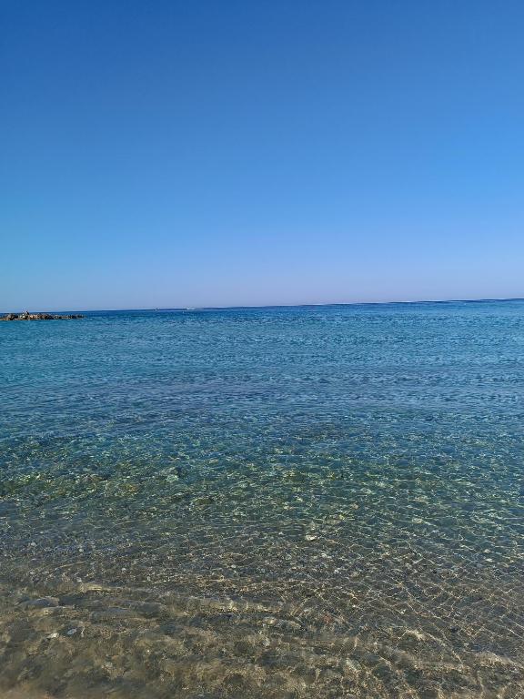 Апартаменти у моря фото 6