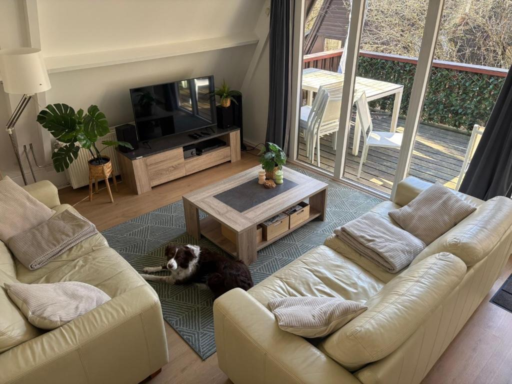 a living room with a dog laying on the floor at Chalet Séquoia 140, Durbuy nature, piscine,2 chiens Ok in Durbuy