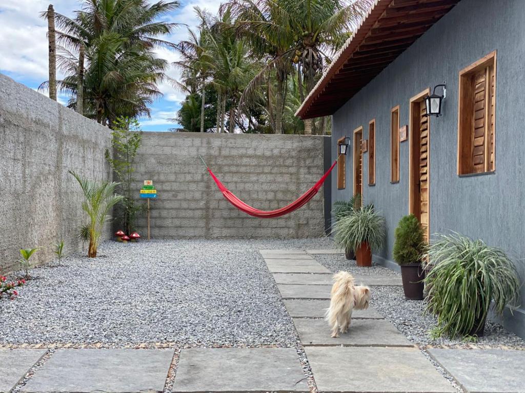 a dog walking in front of a house with a red leash at Chalé 1 - próximo à igreja do céu in Viçosa do Ceará