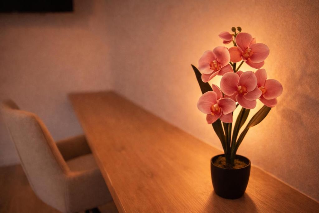 Mulhouse City Loft – photo 35