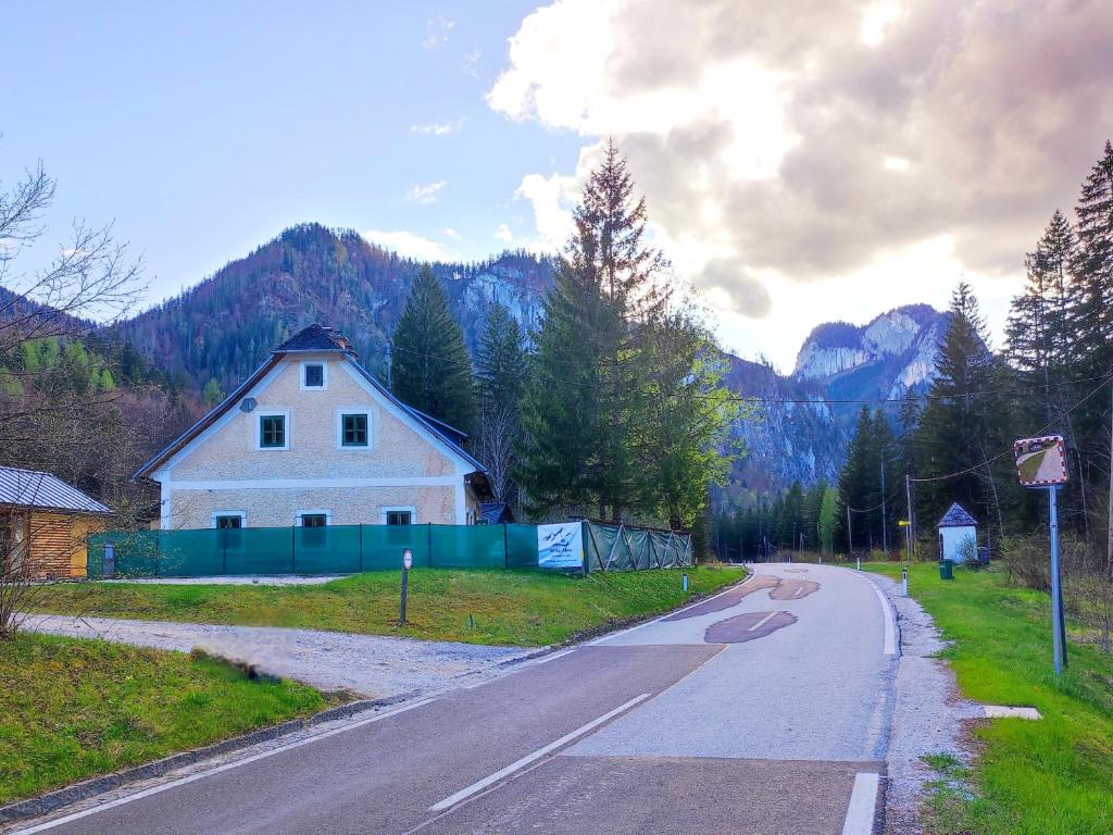 a house on the side of a road next to a mountain at WildAlps-Apartments in Wildalpen