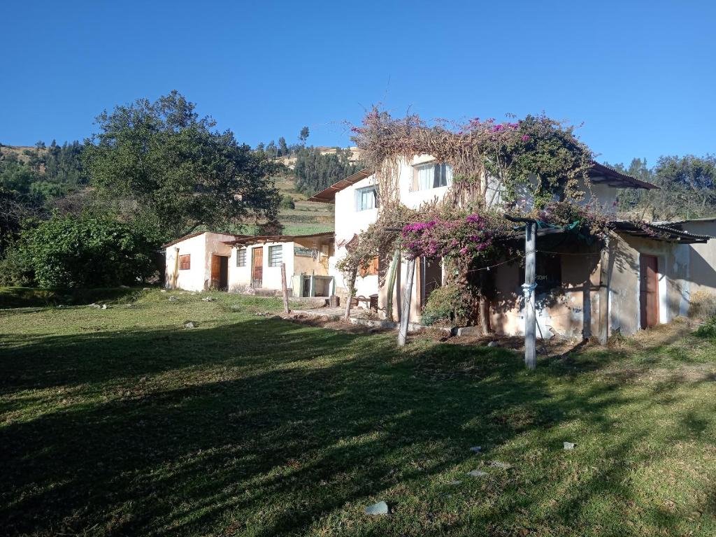 a house with a tree with purple flowers in the yard at Shendao Eco Salud in Huaripampa