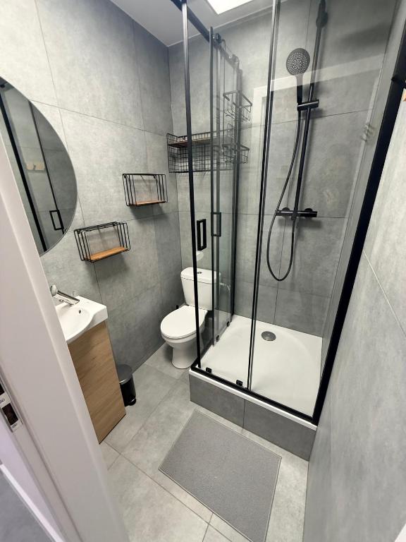 a bathroom with a shower and a toilet and a sink at Zamkowy Hostel Gdansk Old Town in Gdańsk