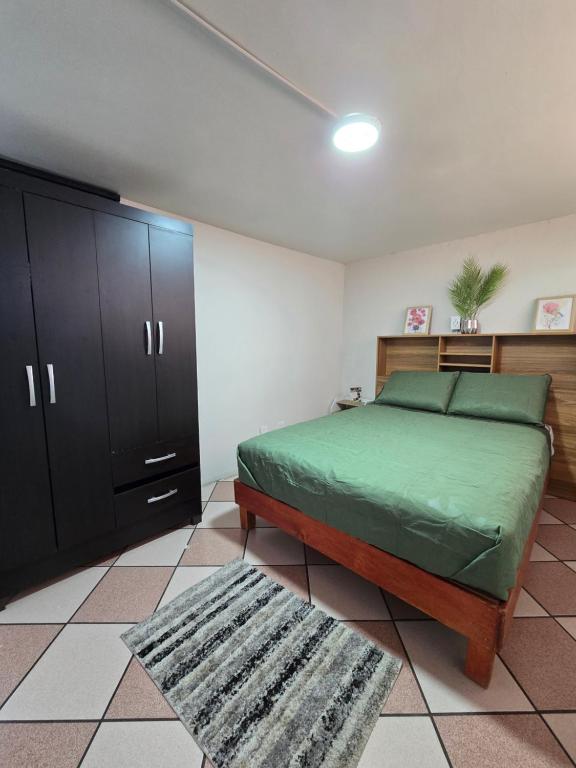 a bedroom with a bed and a cabinet and a rug at Rincon Hortensia apartments and loft in Oaxaca City
