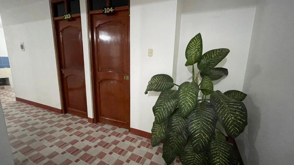 CATTLEYA Casa Hospedaje