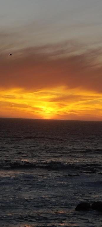 a sunset over the ocean with a bird in the sky at Cabañas El Pirata in Quintero
