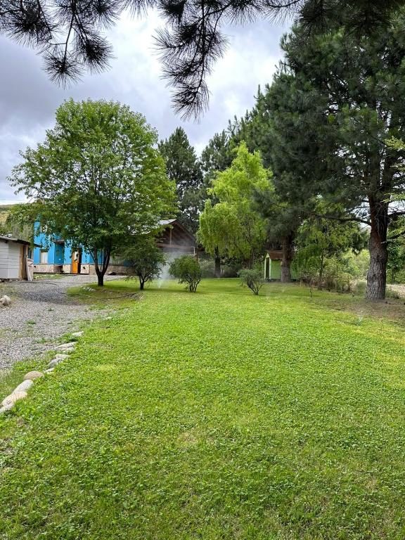a yard with green grass and trees at Aromas de Montaña III in Junín de los Andes