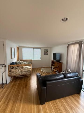 a living room with a couch and a bed at Sailrock Studio in Mangawhai