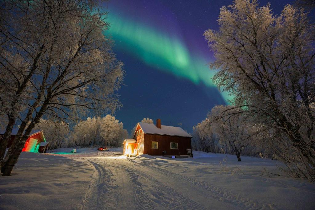 a barn in the snow with the aurora in the sky at Aurora Lodge in Bjørnevatn