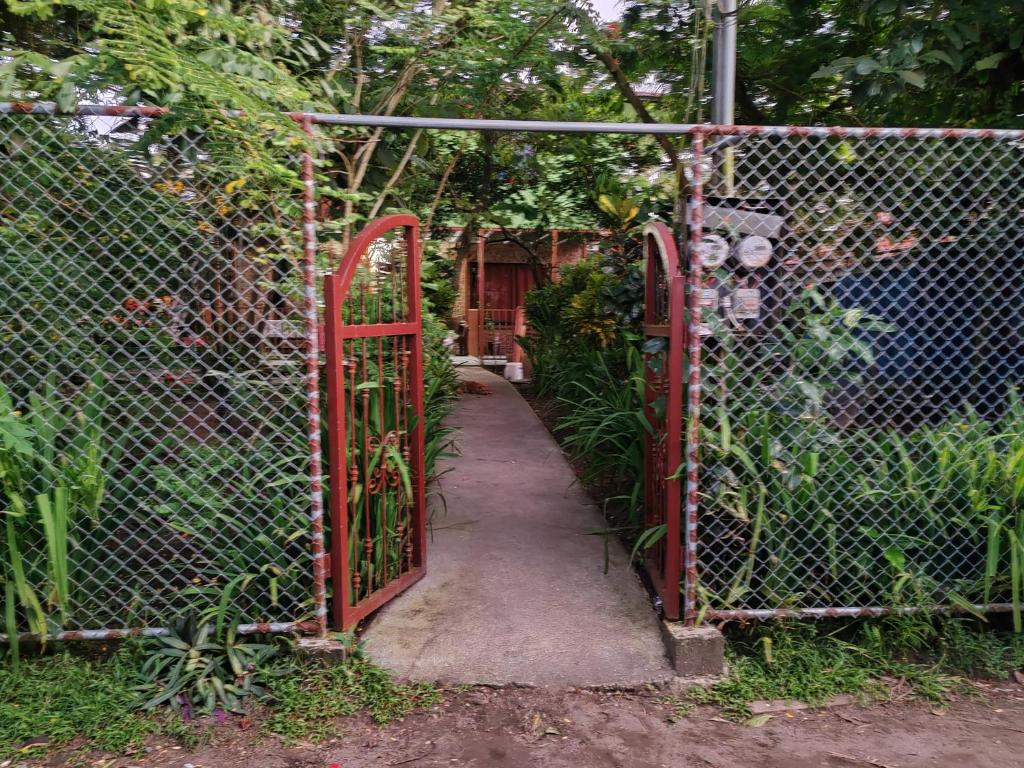 an open gate with a path through a fence at Casa Caribe in Tortuguero