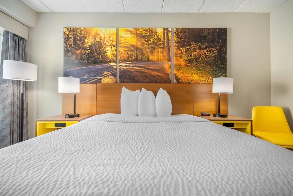 Days Inn by Wyndham International Falls - Camera Queen - Non Fumatori