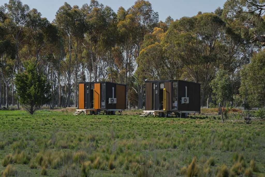 two pods in a field with trees in the background at Little Haven Cottage X by Tiny Away in Balliang