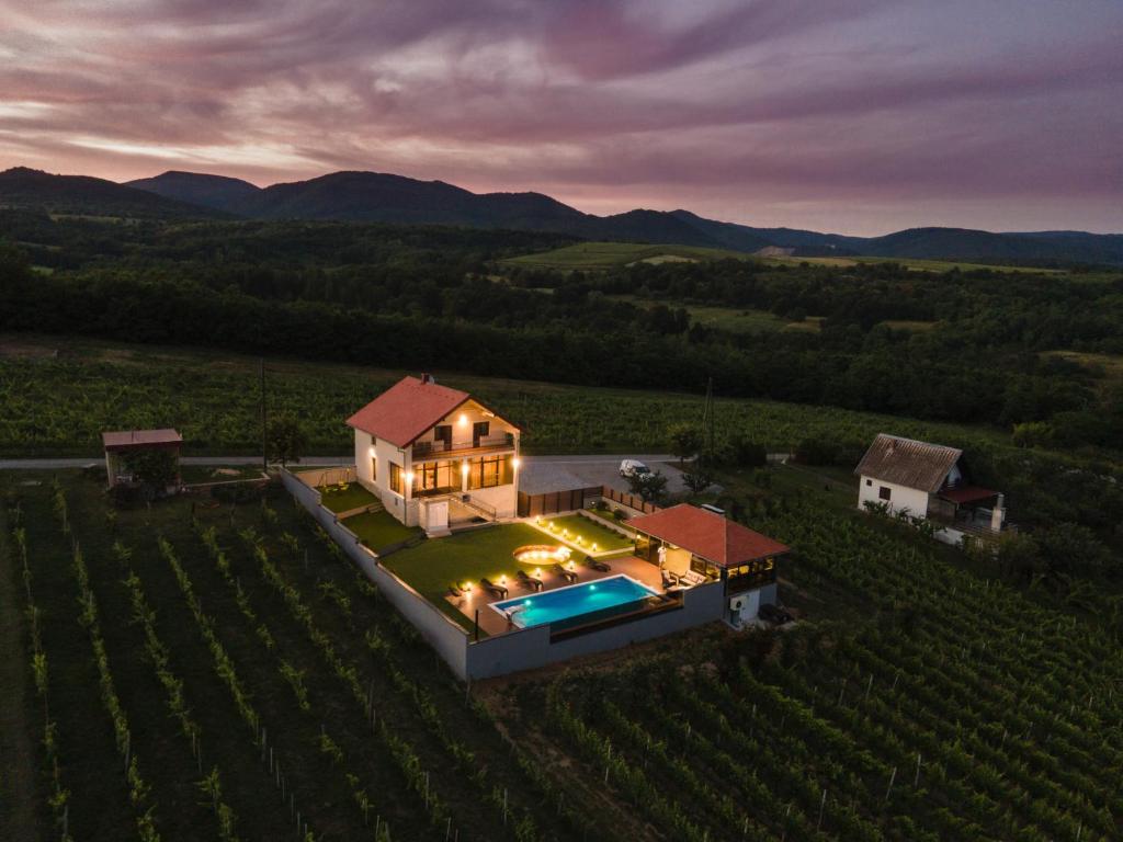 an aerial view of a house in a vineyard at Private Vineyard Villa with Heated Pool, Spa & BBQ by Destination GREEN Croatia in Velika