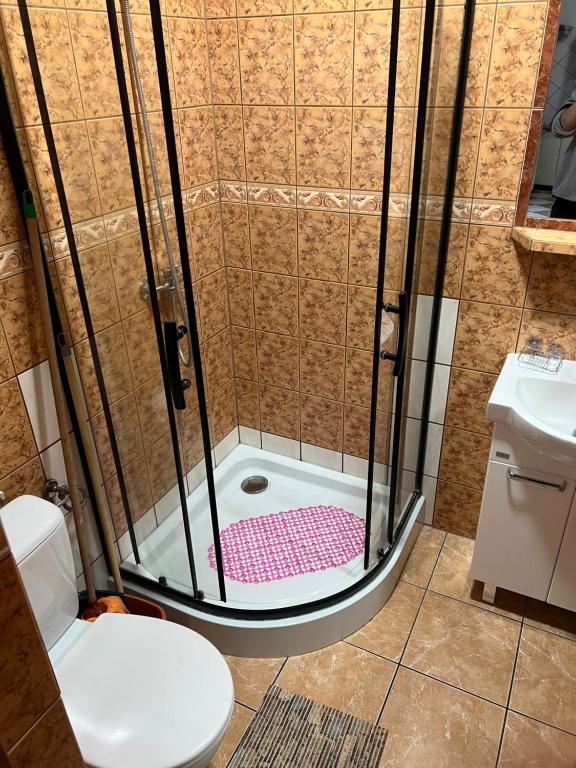 a shower with a pink shower mat in a bathroom at Apartamenty w Helu in Hel
