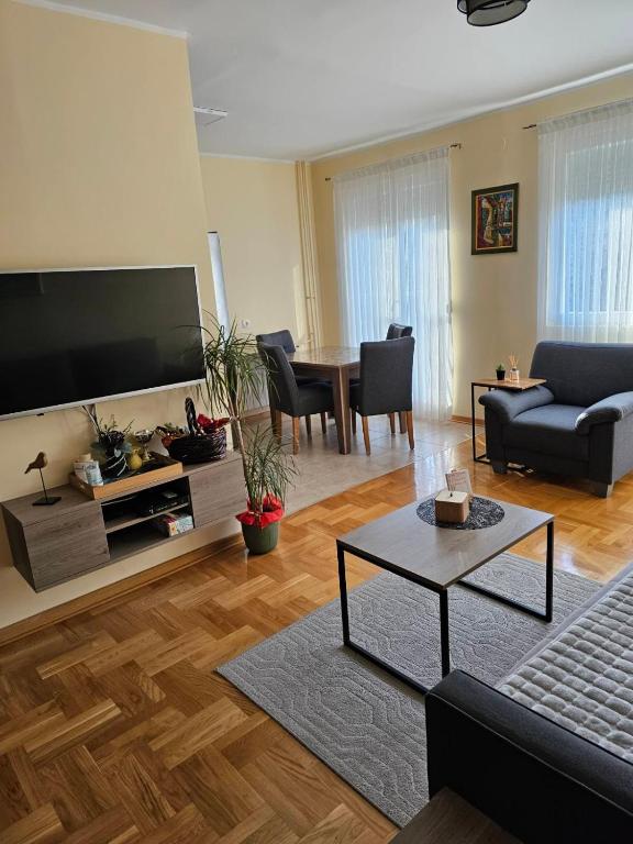 a living room with a large flat screen tv at Apartman JOVANA in Dušanovac (historical)