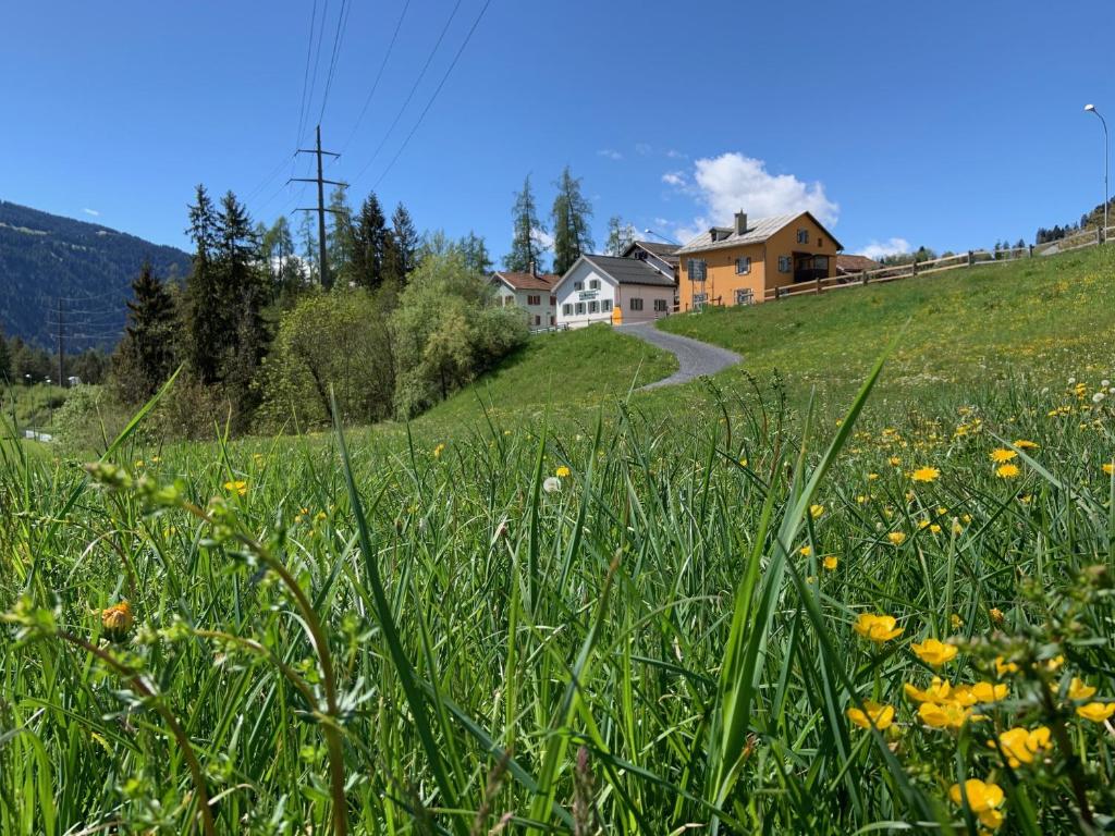 a field of grass and flowers in front of a house at Waldheim Laax Pension in Laax