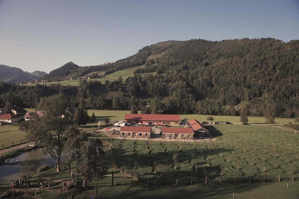 a large house in the middle of a field at Apartmentdorf Flößerstube in Grossraming