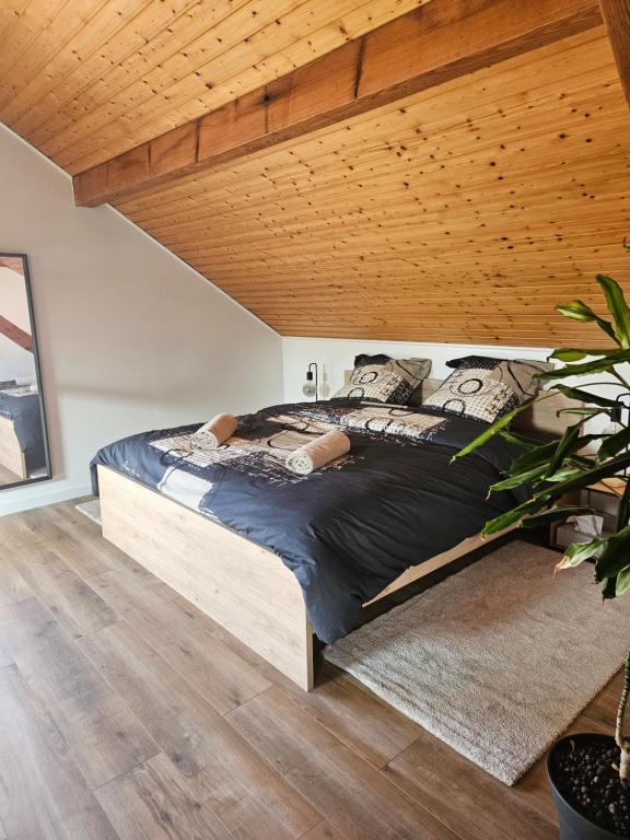 Appartement 62 m2 neuf au calme climatisé avec parking & proche Colmar et Mulhouse – photo 4