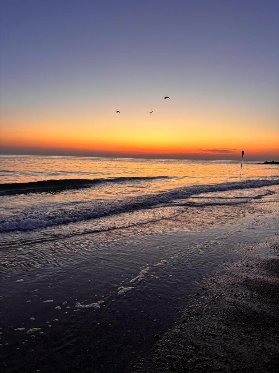a beach with birds flying over the ocean at sunset at Dimore Fronte Mare affittacamere in Casalbordino