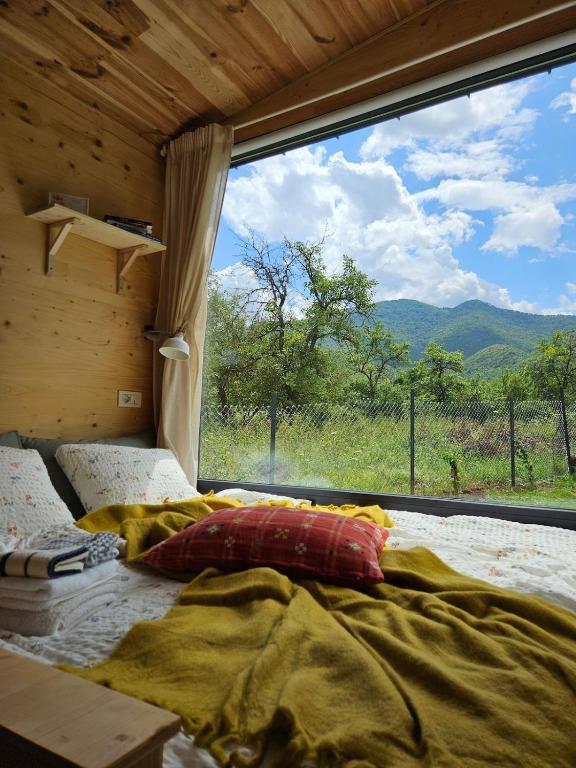 a bed in a room with a large window at Retezat83 Sunshine tiny home , adults only in Râu de Mori